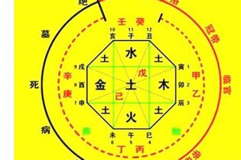 五行忌木|八字五行忌木者是什么意思 – 八字忌木要注意什么